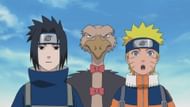 The Naruto anime has a ton of filler episodes (image via Pierrot)